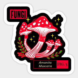 FUNGI Fig 3 Sticker